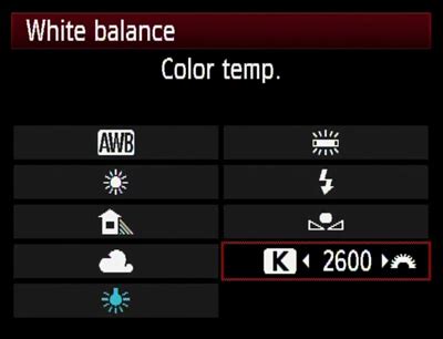 canon camera white balance settings